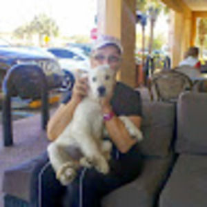 Meet your Posher, Victoria